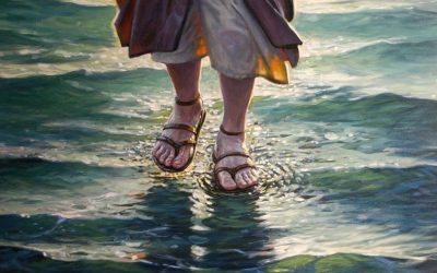 Enseñanza de Fe, confianza y amor en Jesucristo