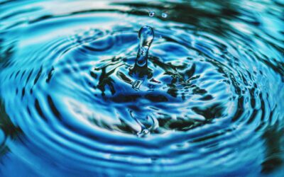 El Secreto de la Vida – Más Claro que el Agua